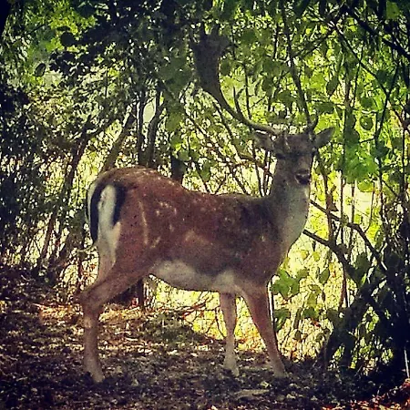 Pra De Mande Casa rural Viano