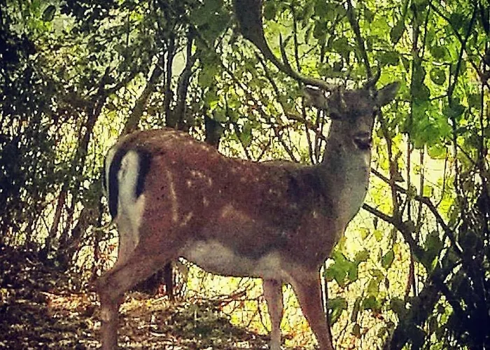 Pra De Mande Landhaus Viano